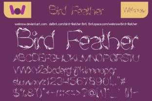 Bird Feather Font: A Display Typeface for Exquisite Campaigns