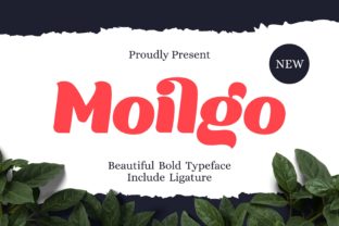 Moilgo Display Font for Strong Brand Identity